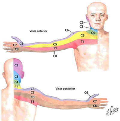 Dor na mandíbula: 8 principais causas do incômodo